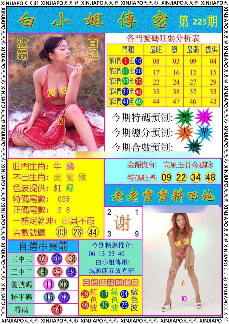 白小姐传密