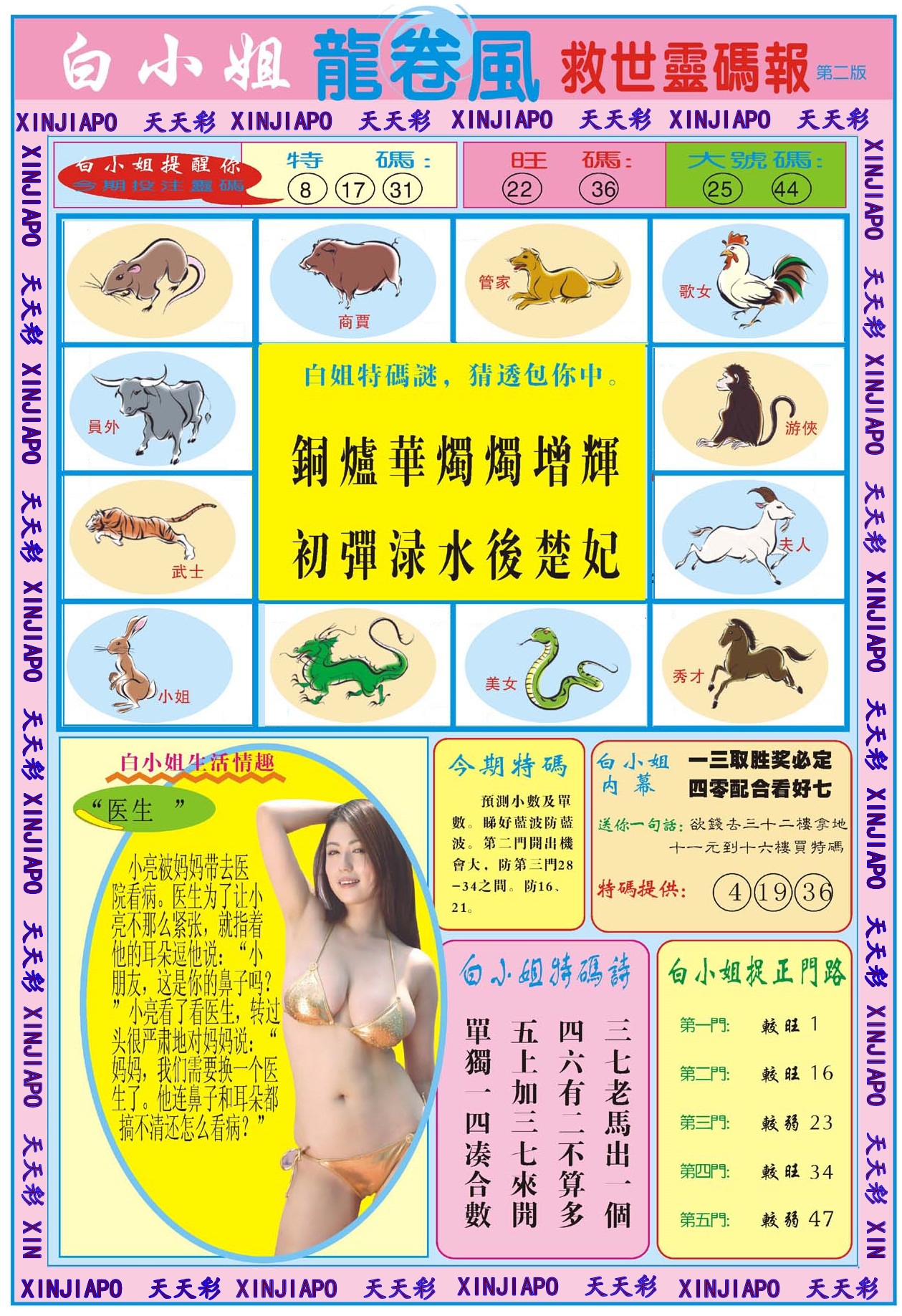 白小姐龙卷風-救世靈码报