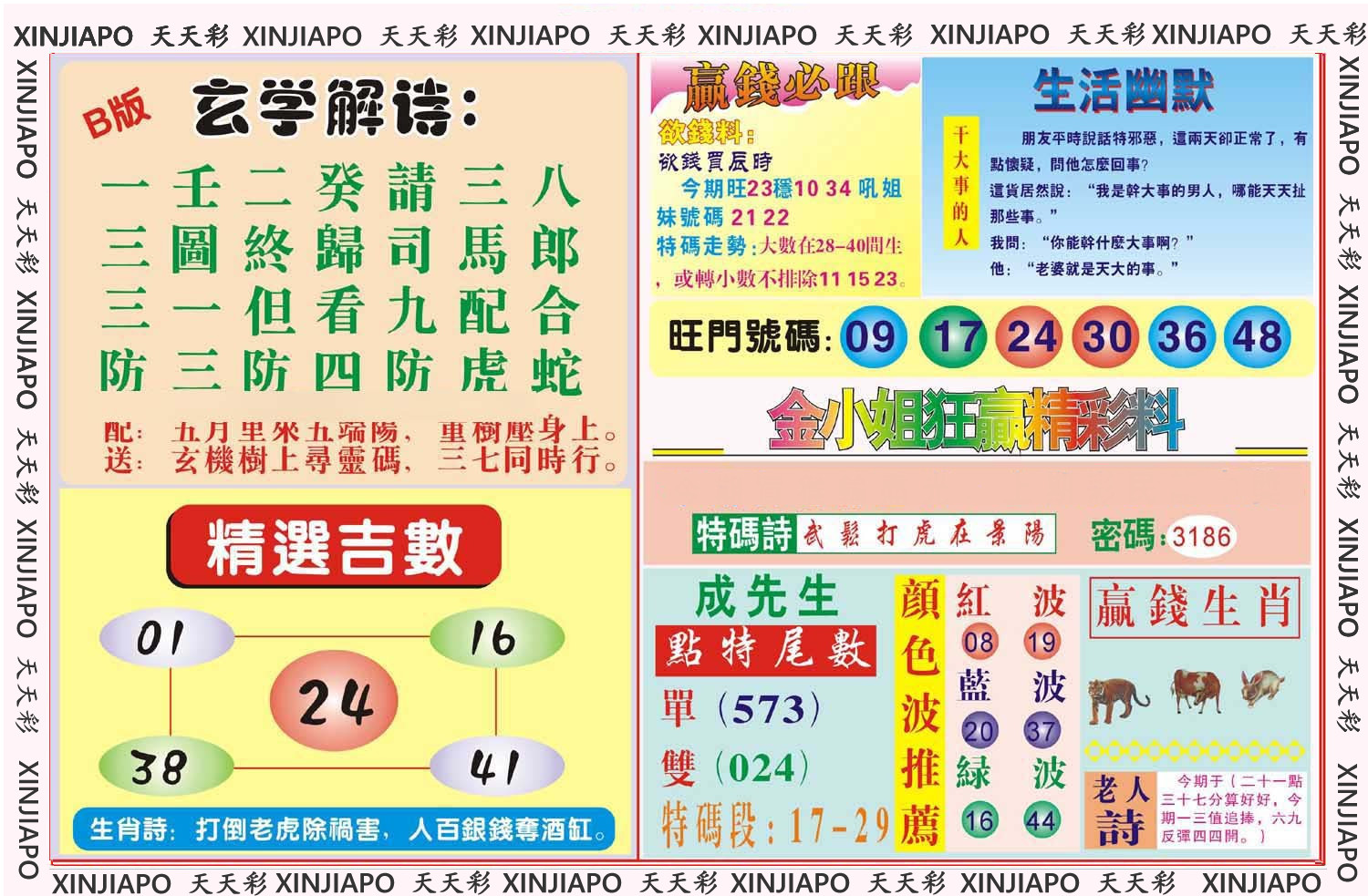 金小姐狂赢精彩料